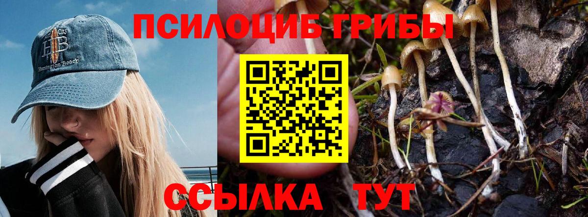 Тюмень  Псилоцибиновые грибы прущие грибы  Вход с VPN 