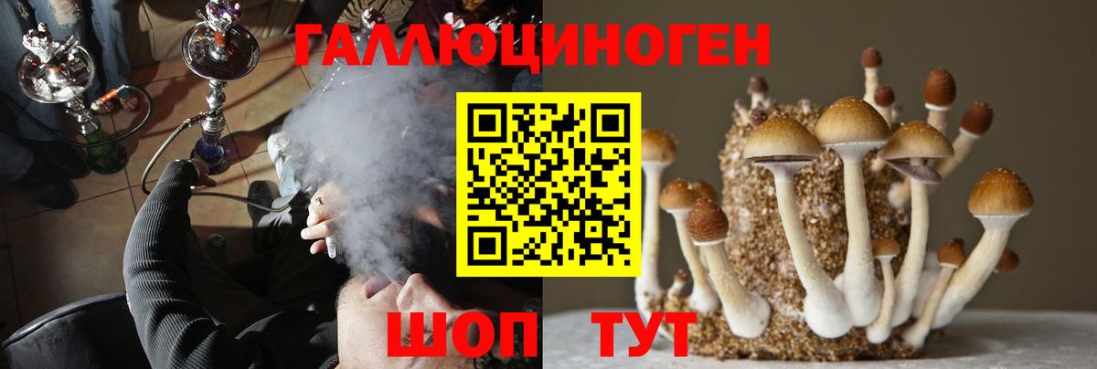 Галлюциногенные грибы прущие грибы Тюмень
